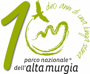 logo 10